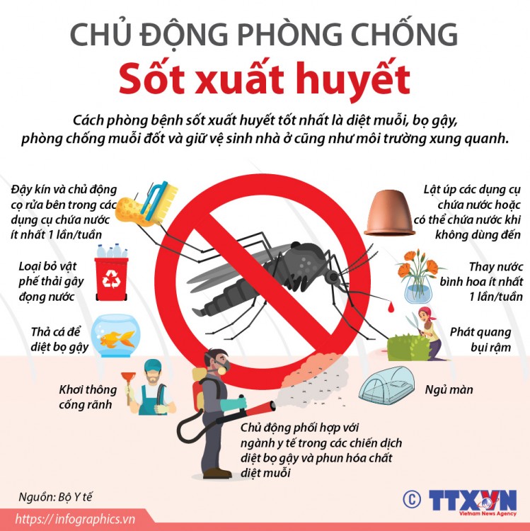 Tuyên truyền phòng chống dịch bệnh Sốt xuất huyết